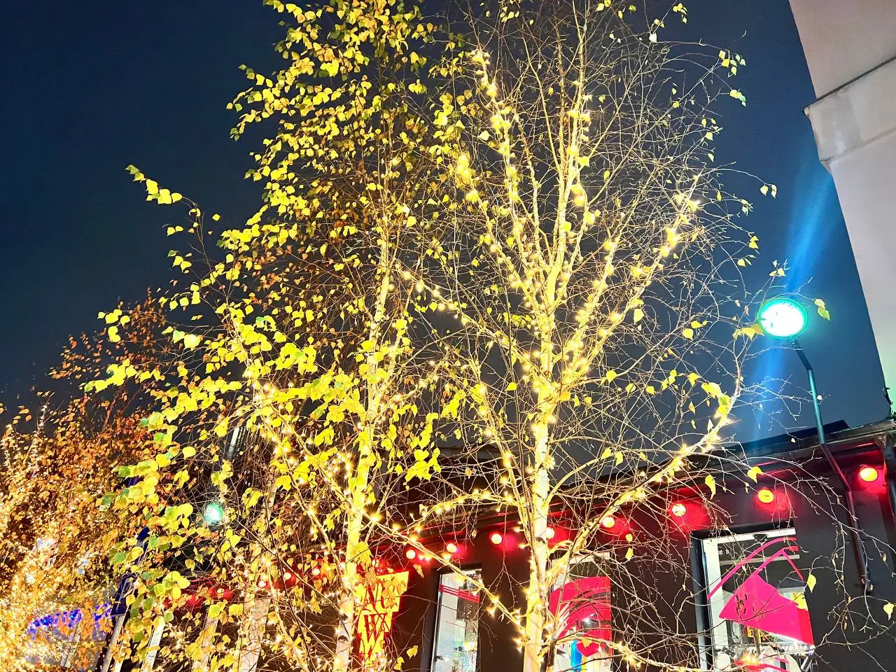 🚗✨ Новогоднее волшебство в Москве! ✨🎄
Москва погружена в атмосферу праздника!
Улицы украшены яркими огнями, а витрины магазинов радуют глаз новогодними декорациями | Сетка — социальная сеть от hh.ru