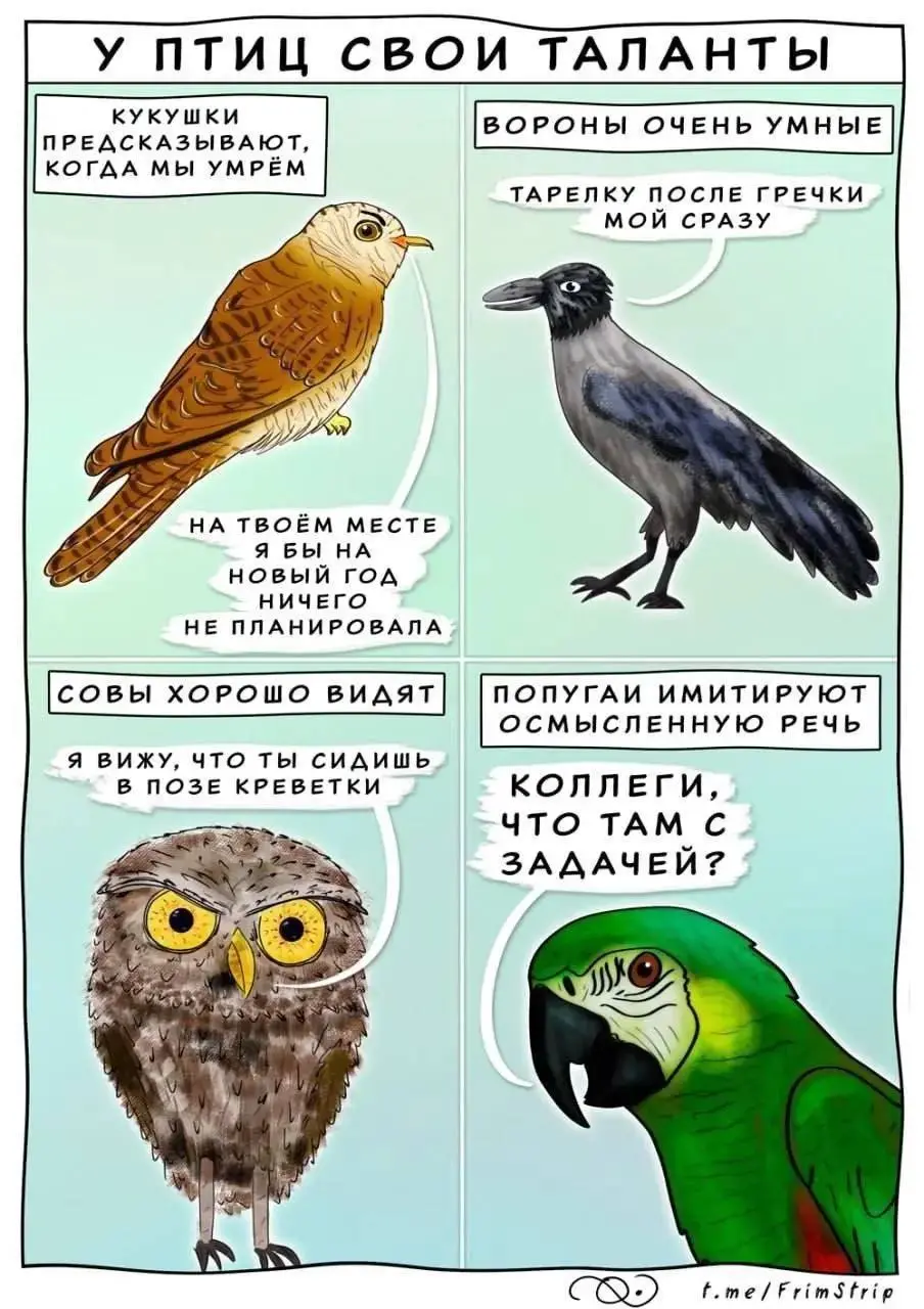 #life #work | Сетка — социальная сеть от hh.ru