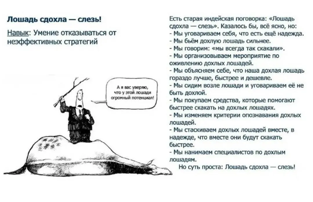🦄 ЛОШАДЬ СДОХЛА - СЛЕЗЬ
Нравится мне эта фраза и очень)
Может и звучит грубовато, правда, но в ней - глубокая мудрость в построении успешной карьеры, в том числе | Сетка — социальная сеть от hh.ru