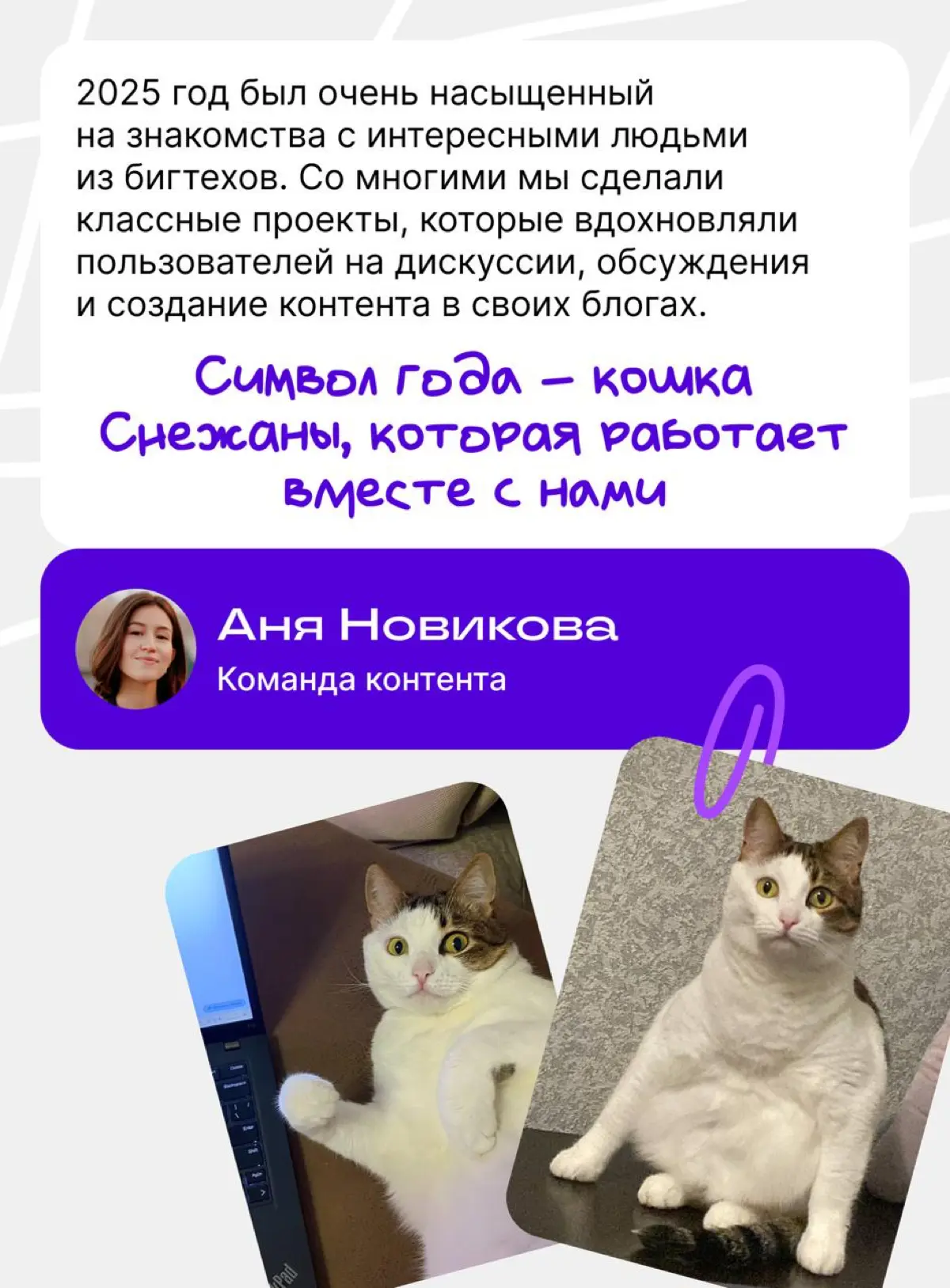 Как прошел ваш 2025-й? #спросисетку | Сетка — социальная сеть от hh.ru