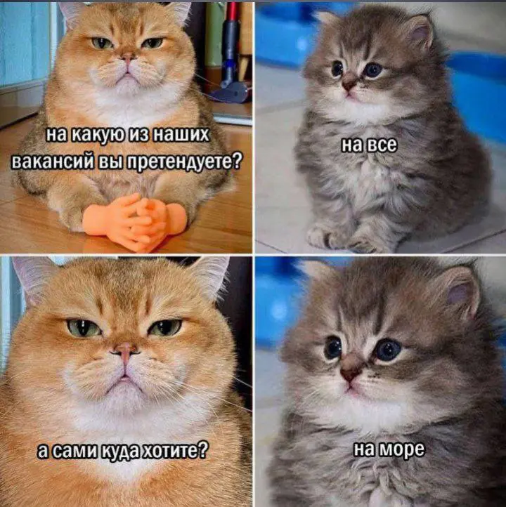 #пятничное Если претендуете на вакансию - ставьте 🔥, если хотите на море 💯 | Сетка — социальная сеть от hh.ru
