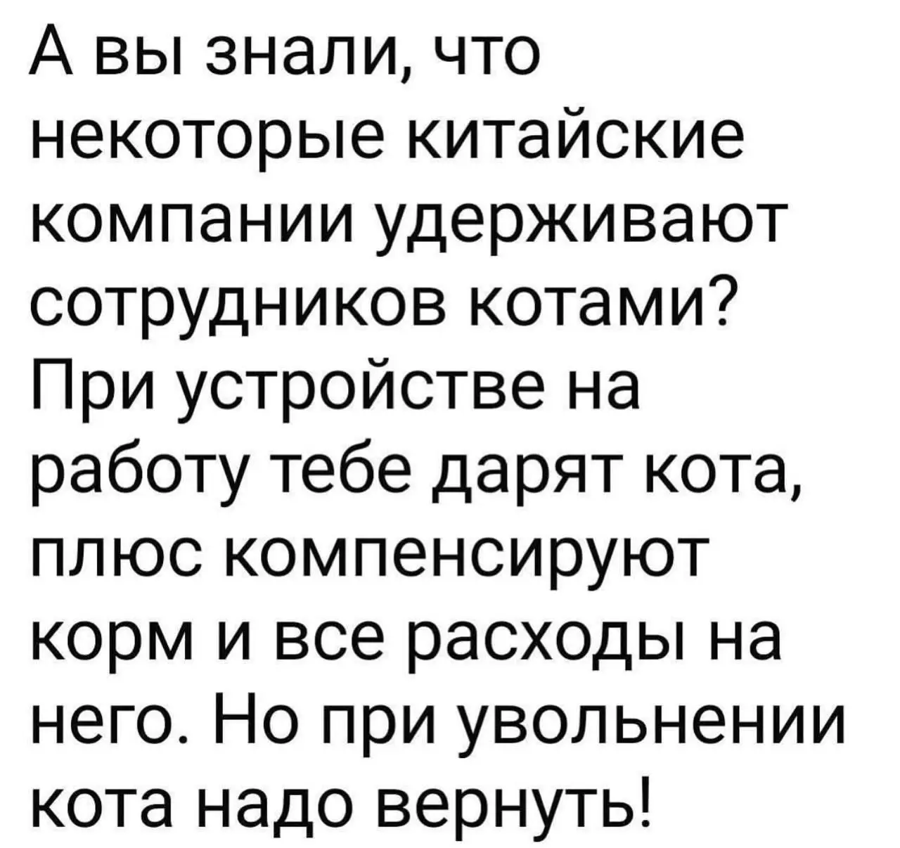 Пятничное, теперь я знаю, что такое Мягкий шантаж. | Сетка — социальная сеть от hh.ru