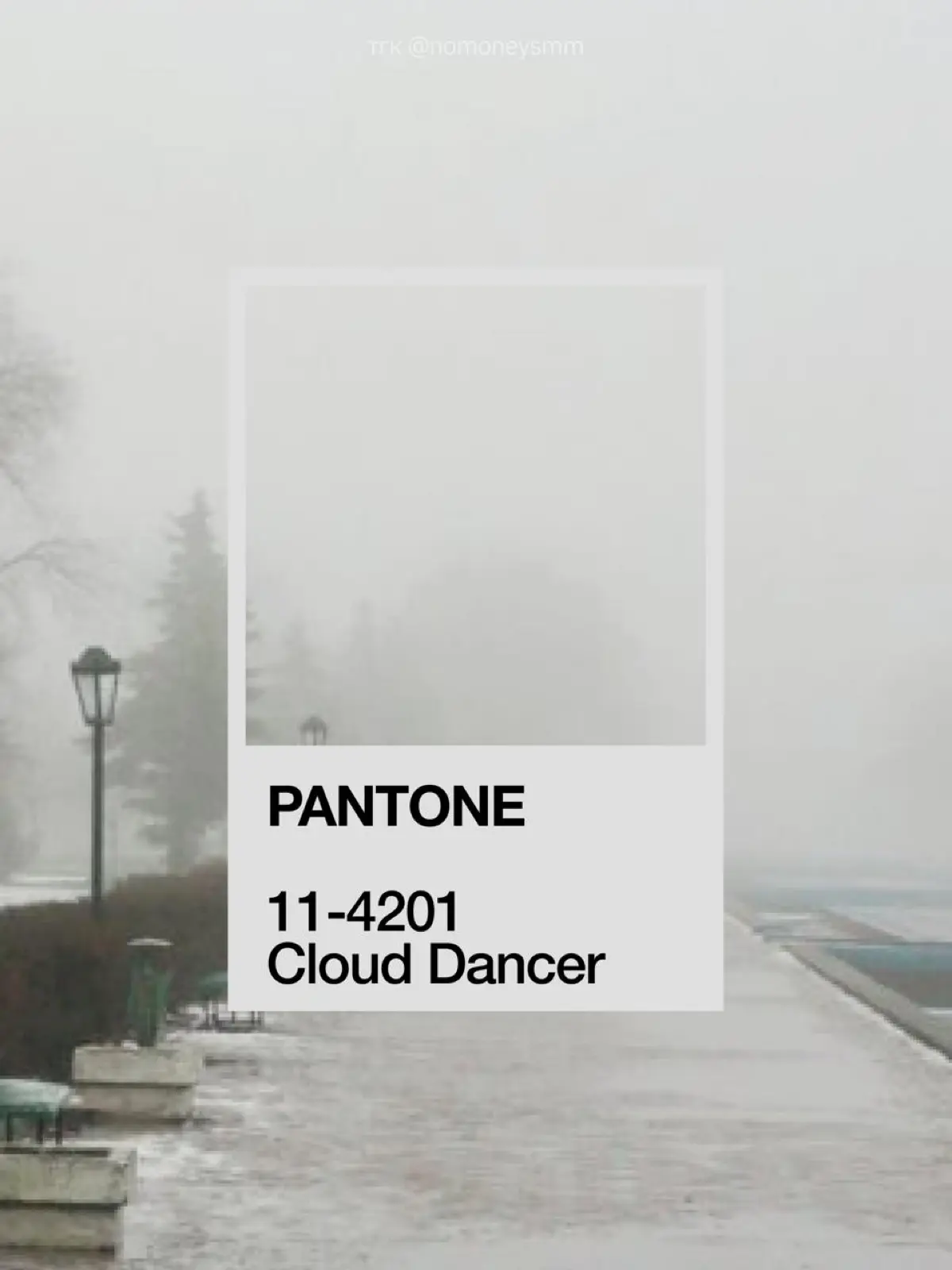 А вы уже видели цвет года от Pantone? | Сетка — социальная сеть от hh.ru