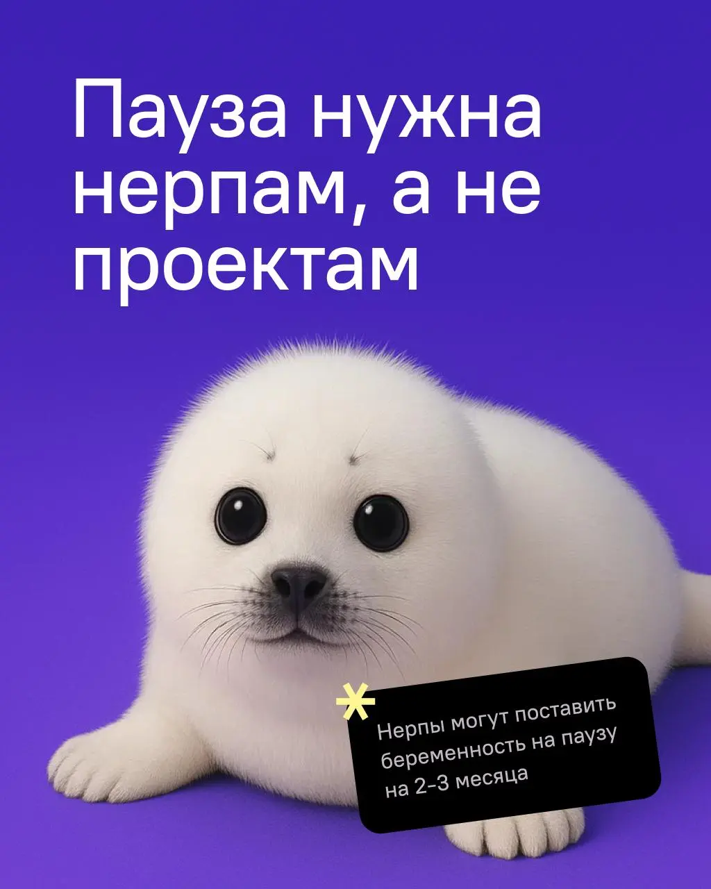 💫 Принесла вам пятничную историю
У нас в студии иногда бывает такое, что переписка с клиентом подвисает на несколько дней | Сетка — социальная сеть от hh.ru