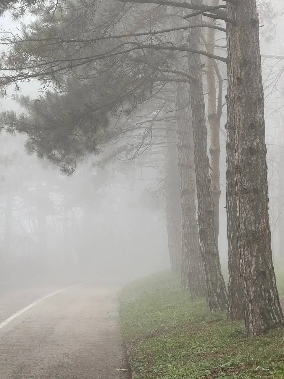 Сайлент Хилл по Пятигорски 😶‍🌫️
📸 Артём Мелетов | Сетка — социальная сеть от hh.ru