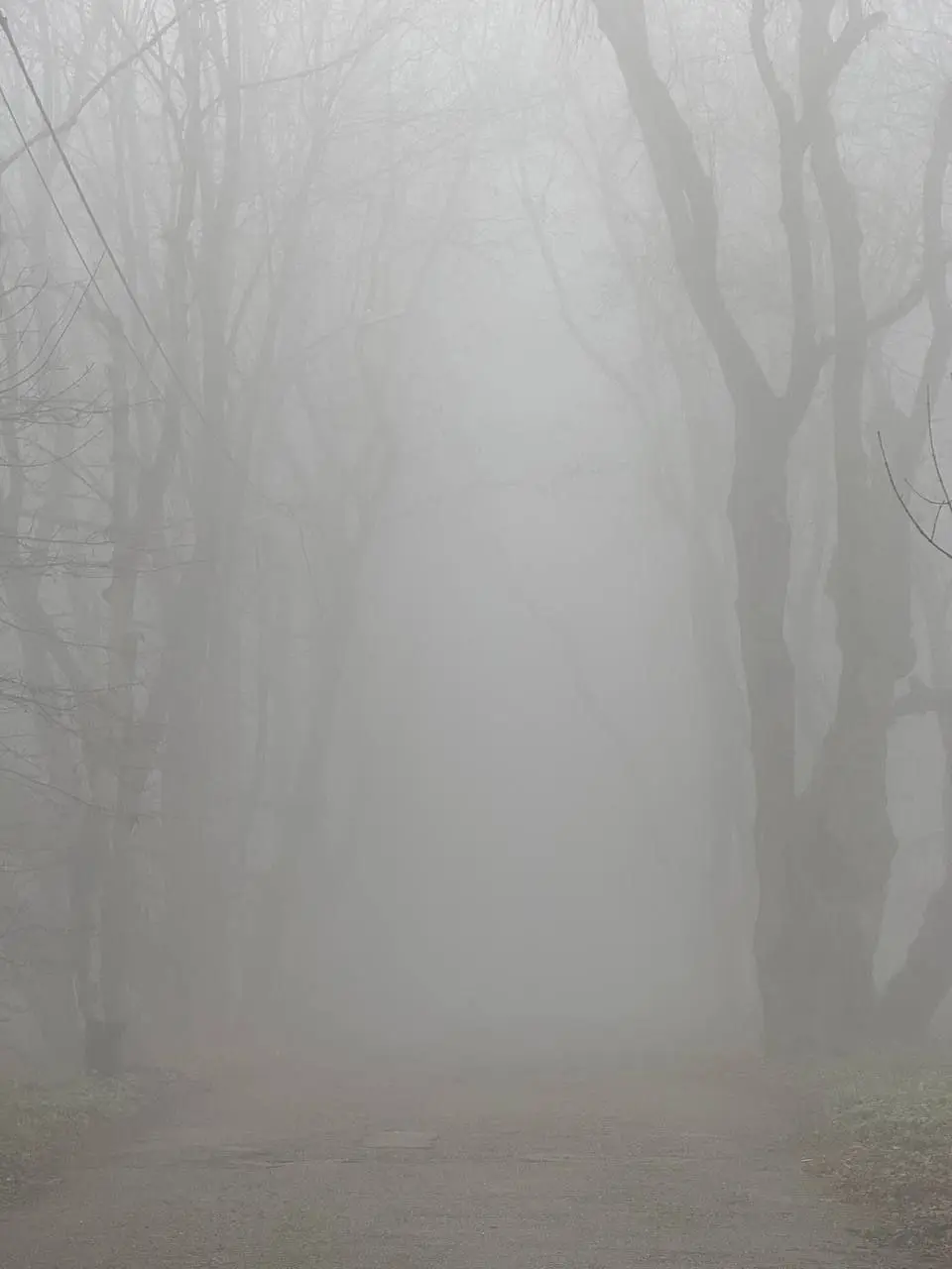 Сайлент Хилл по Пятигорски 😶‍🌫️
📸 Артём Мелетов | Сетка — социальная сеть от hh.ru