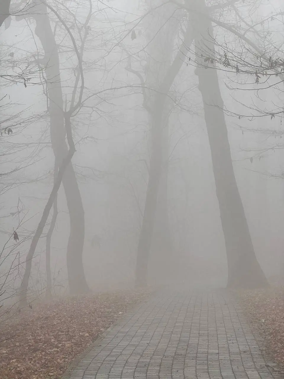 Сайлент Хилл по Пятигорски 😶‍🌫️
📸 Артём Мелетов | Сетка — социальная сеть от hh.ru