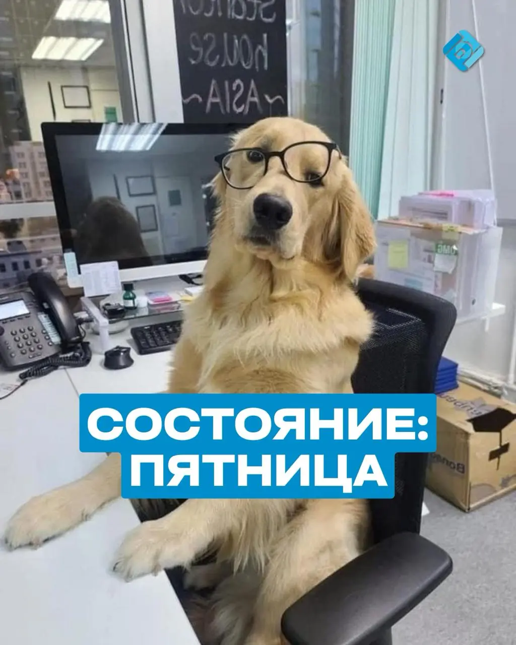 Коллеги, отличных вам выходных! 🫱🏼‍🫲🏽
Наберитесь сил, у нас еще 3 полноценных недели до Нового года! 🎄
✉️ Подписывайтесь на БухNews
В этом посте были ссылки, но мы их удалили по правилам Сетки | Сетка — социальная сеть от hh.ru