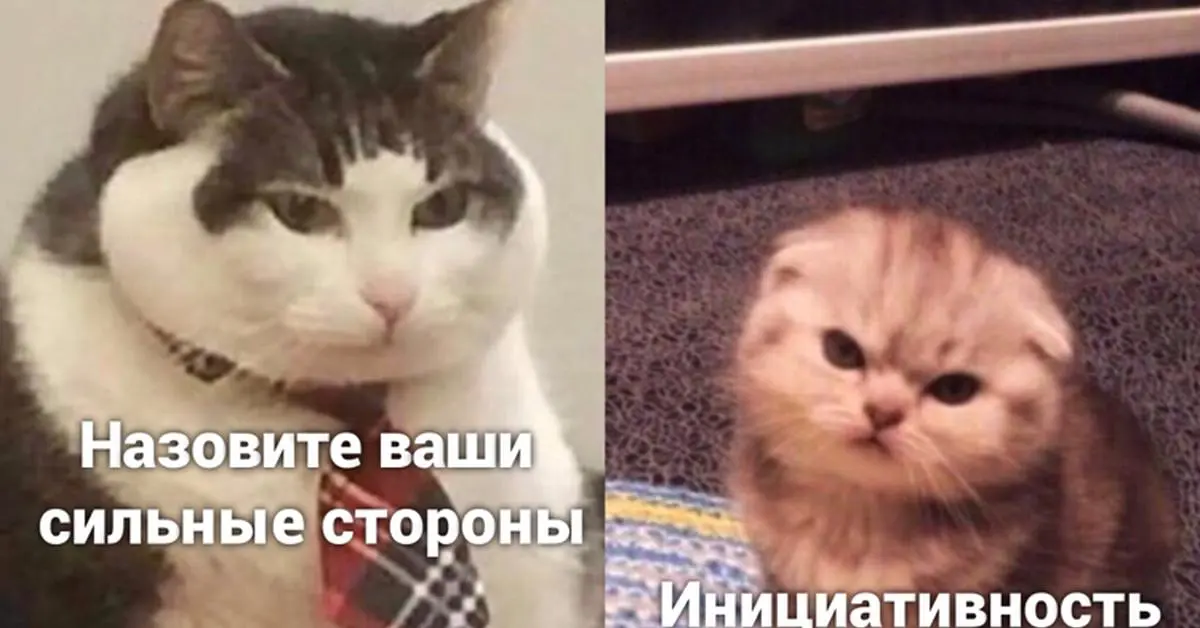 Ваш кандидат не лжец, вы просто задаете не те вопросы | Сетка — социальная сеть от hh.ru