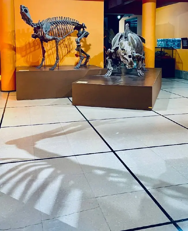 Ваше право на недовольство других, или Как успокоить внутреннюю рептилию 🦎
Знакомо это сжатие в солнечном сплетении, когда чувствуешь, что кто-то тобой недоволен? Коллега, партнер, случайный человек в... | Сетка — социальная сеть от hh.ru