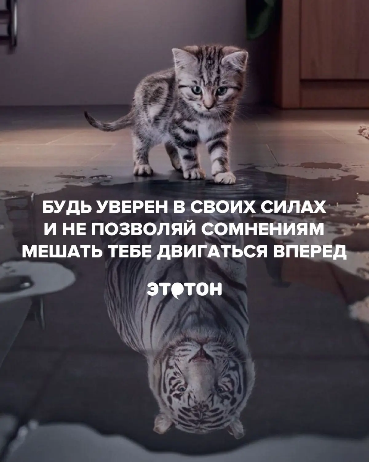Уверенность | Сетка — социальная сеть от hh.ru
