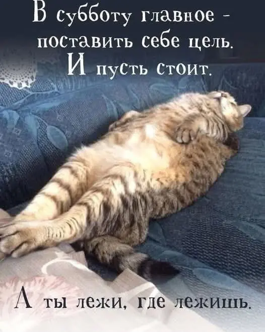 СУББОТА
На картинке всё сказано 😁
Подсказка Вселенной в сторис | Сетка — социальная сеть от hh.ru