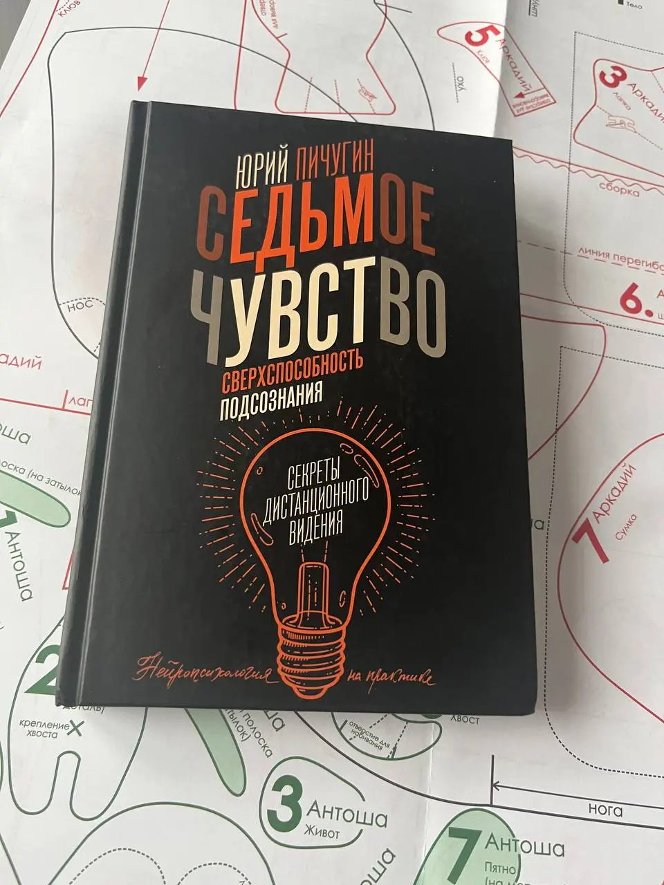 Юрий Пичугин «Седьмое чувство»
аннотация
Дистанционное видение - научный метод, позволяющий при помощи силы мысли принять и описать информацию, скрытую от обычного восприятия расстоянием, преградой ил... | Сетка — социальная сеть от hh.ru