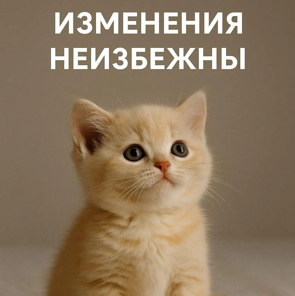 «Со всеми всё окей» — вот такое у меня для вас откровение.
С этим утверждением я познакомился ещё в лагере, когда нас учили, как разговаривать с родителями, когда учились на старших вожатых | Сетка — социальная сеть от hh.ru