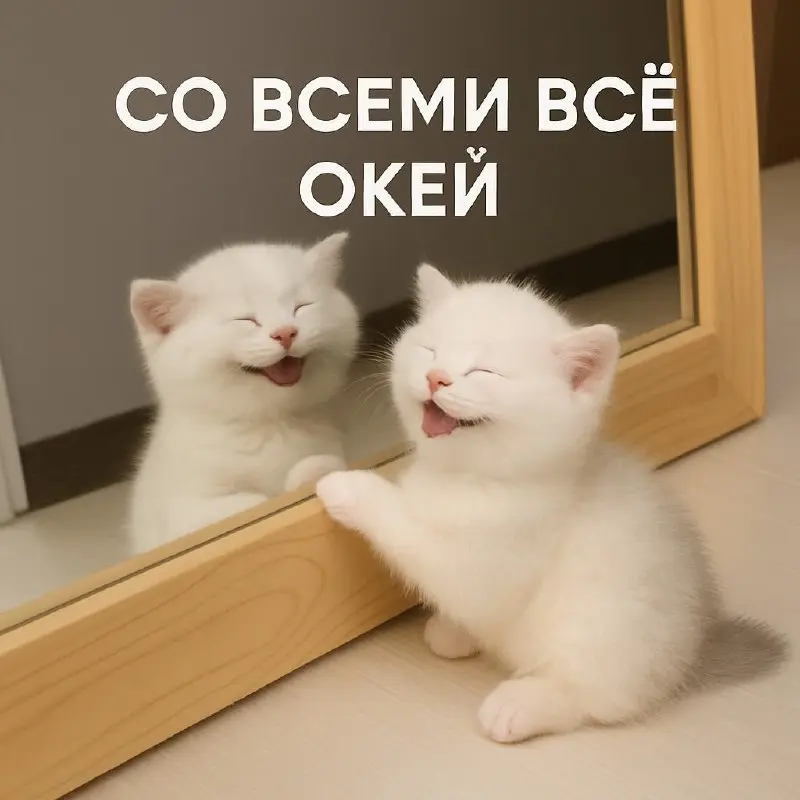 «Со всеми всё окей» — вот такое у меня для вас откровение.
С этим утверждением я познакомился ещё в лагере, когда нас учили, как разговаривать с родителями, когда учились на старших вожатых | Сетка — социальная сеть от hh.ru