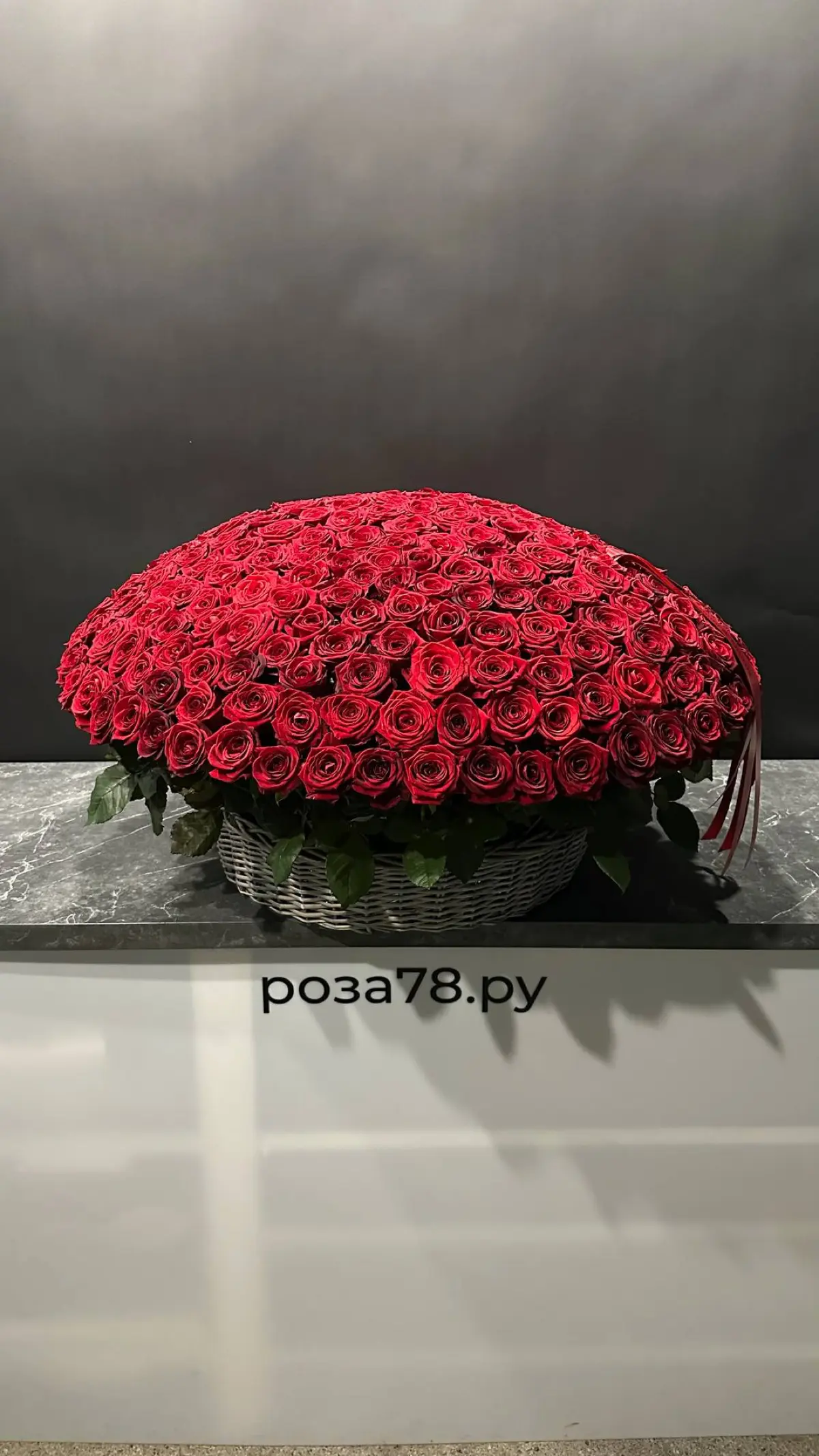 роза78.ру в баре Анны Асти Spletni | Сетка — социальная сеть от hh.ru