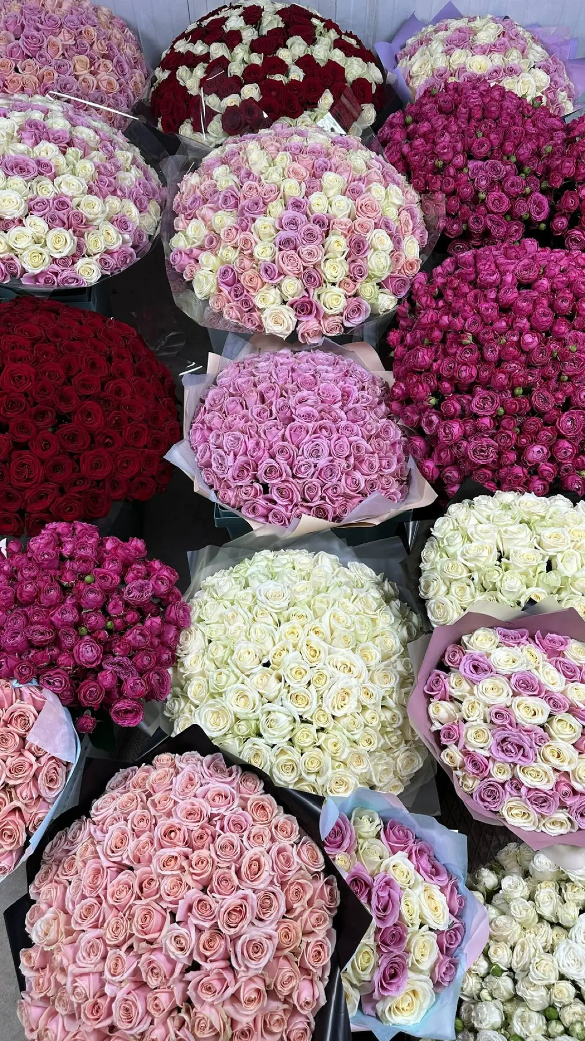 роза78.ру в баре Анны Асти Spletni | Сетка — социальная сеть от hh.ru