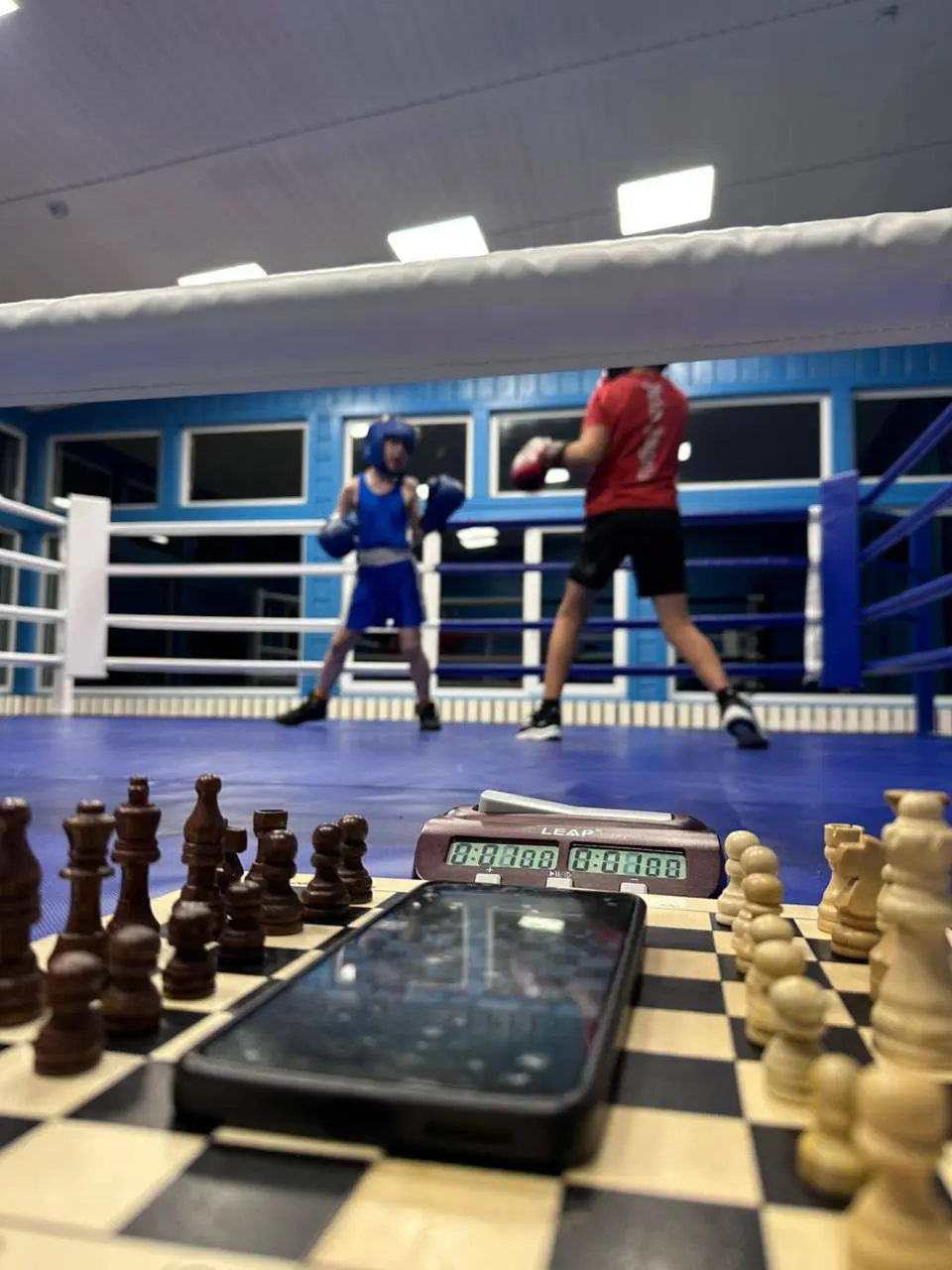 Спортивная база шахбокса, Ленинградская область, посёлок поляны. | Сетка — социальная сеть от hh.ru