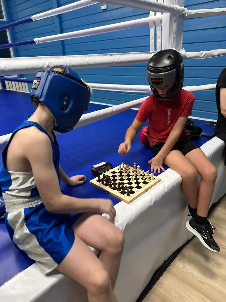 Спортивная база шахбокса, Ленинградская область, посёлок поляны. | Сетка — социальная сеть от hh.ru