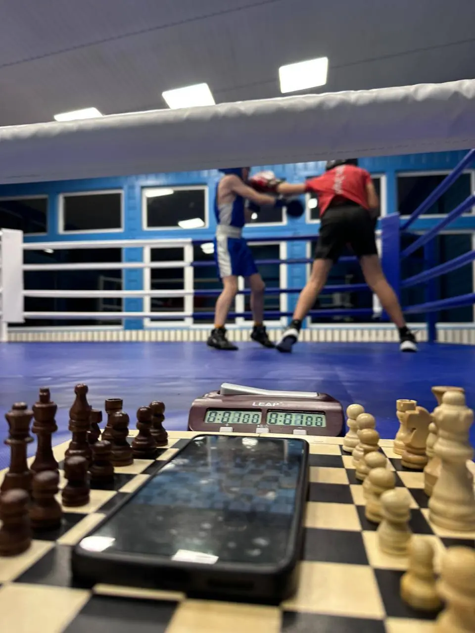 Спортивная база шахбокса, Ленинградская область, посёлок поляны. | Сетка — социальная сеть от hh.ru