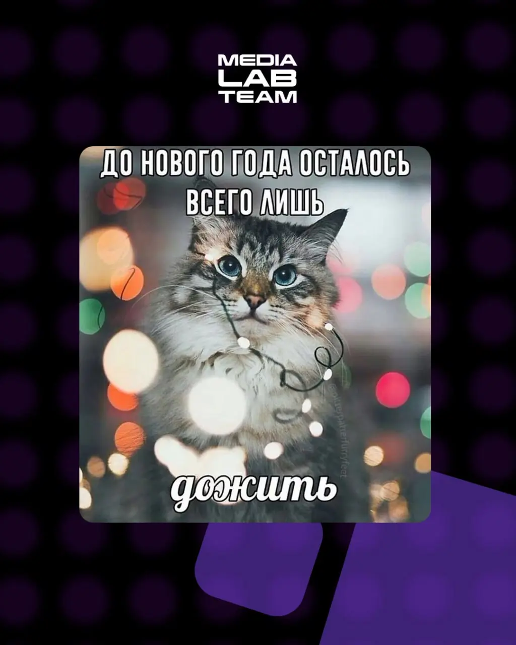 Держим в курсе: осталось прожить меньше четырёх недель!
〰️〰️〰️〰️〰️〰️〰️〰️〰️〰️[💖 в ВКонтакте | 💖 в Telegram
В этом посте были ссылки, но мы их удалили по правилам Сетки]( | Сетка — социальная сеть от hh.ru