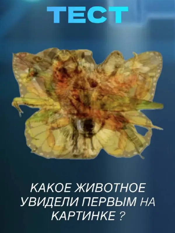 Какое животное вы увидели первым? 👀
Этот тест — про то, какая энергия сейчас вами управляет | Сетка — социальная сеть от hh.ru