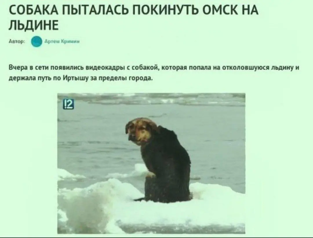 Из Омска нет выхода | Сетка — социальная сеть от hh.ru