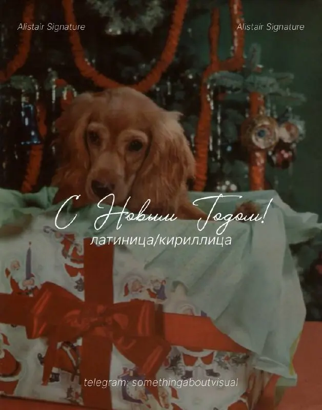 // 9 новогодних (или зимних) шрифтов 🎄❄️
Сказочные, витиеватые, рукописные и где-то немного детские, те самые шрифты, которые будут актуальны в декабре-январе✨
🖇️Скачать в комментариях
#шрифты | Сетка — социальная сеть от hh.ru