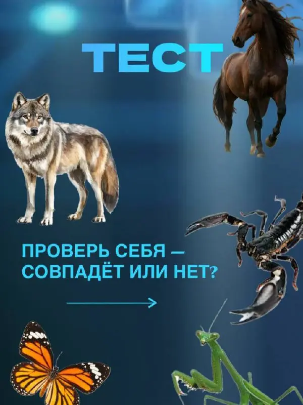 Вот что значит первое животное, которое вы увидели ⤵️
🐺 Волк - сила, самостоятельность, лидер.
Вы привыкли рассчитывать только на себя и это ваша мощь | Сетка — социальная сеть от hh.ru