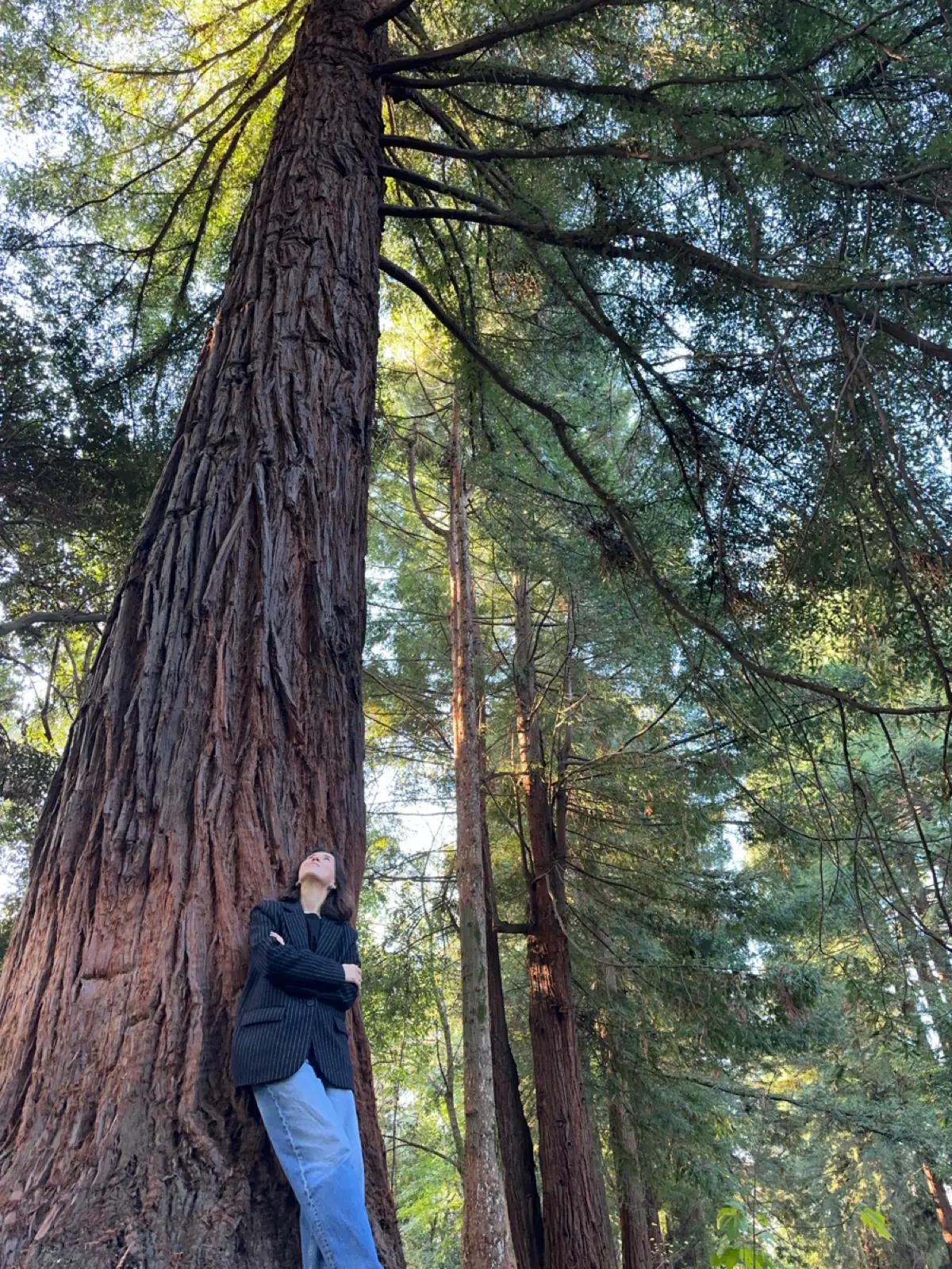 Топ-3 навыка лидера в 2026 | Сетка — социальная сеть от hh.ru