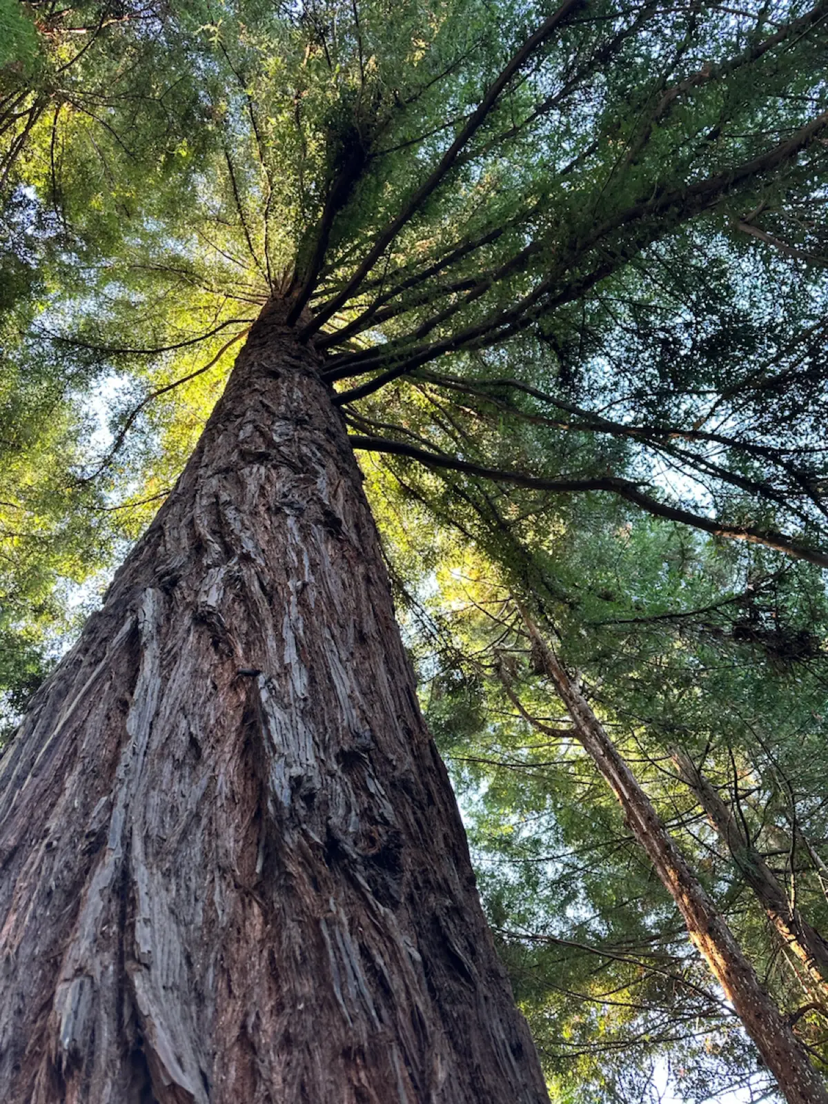 Топ-3 навыка лидера в 2026 | Сетка — социальная сеть от hh.ru