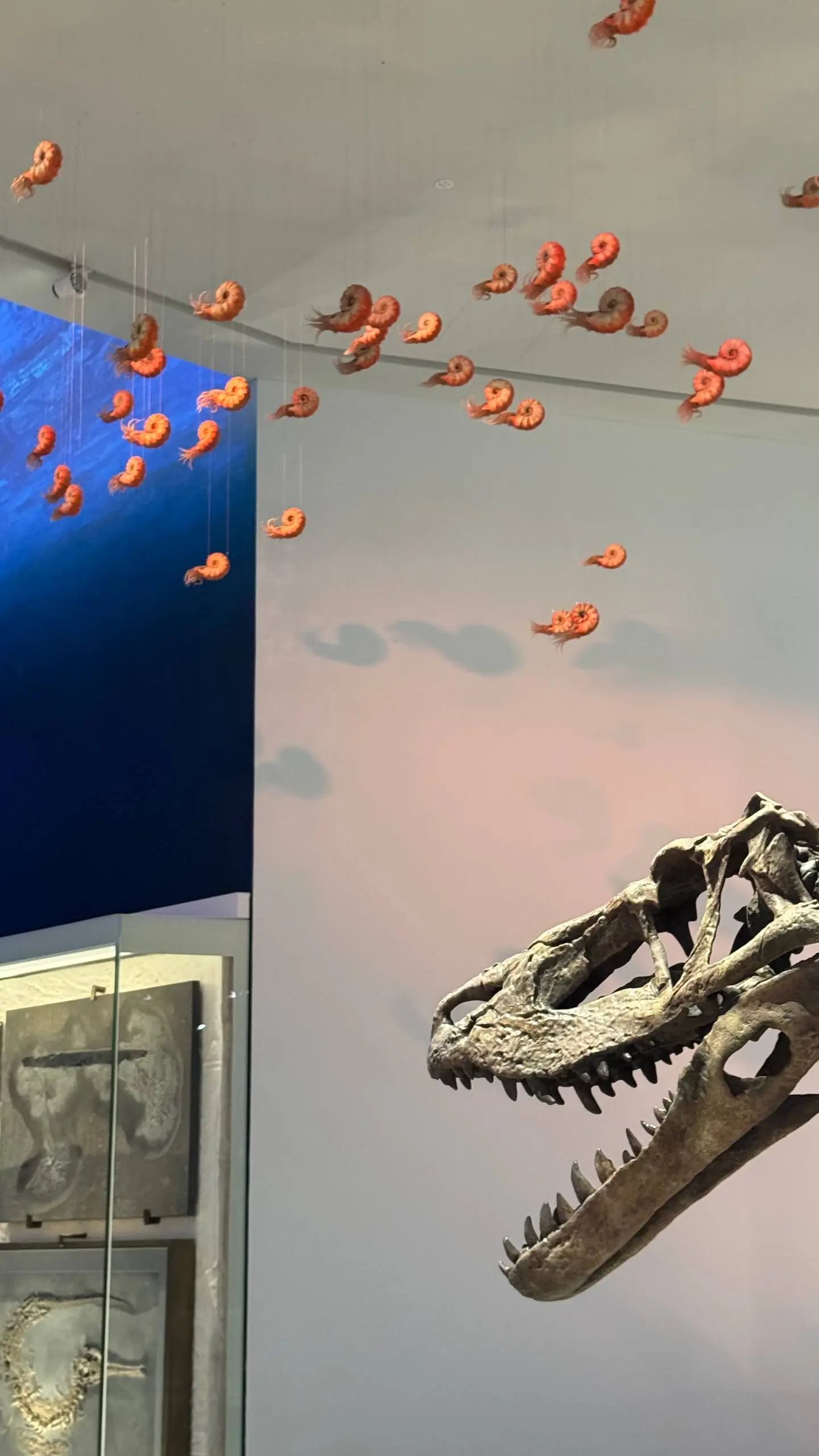 Следующий из новенького – Natural History Museum | Сетка — социальная сеть от hh.ru