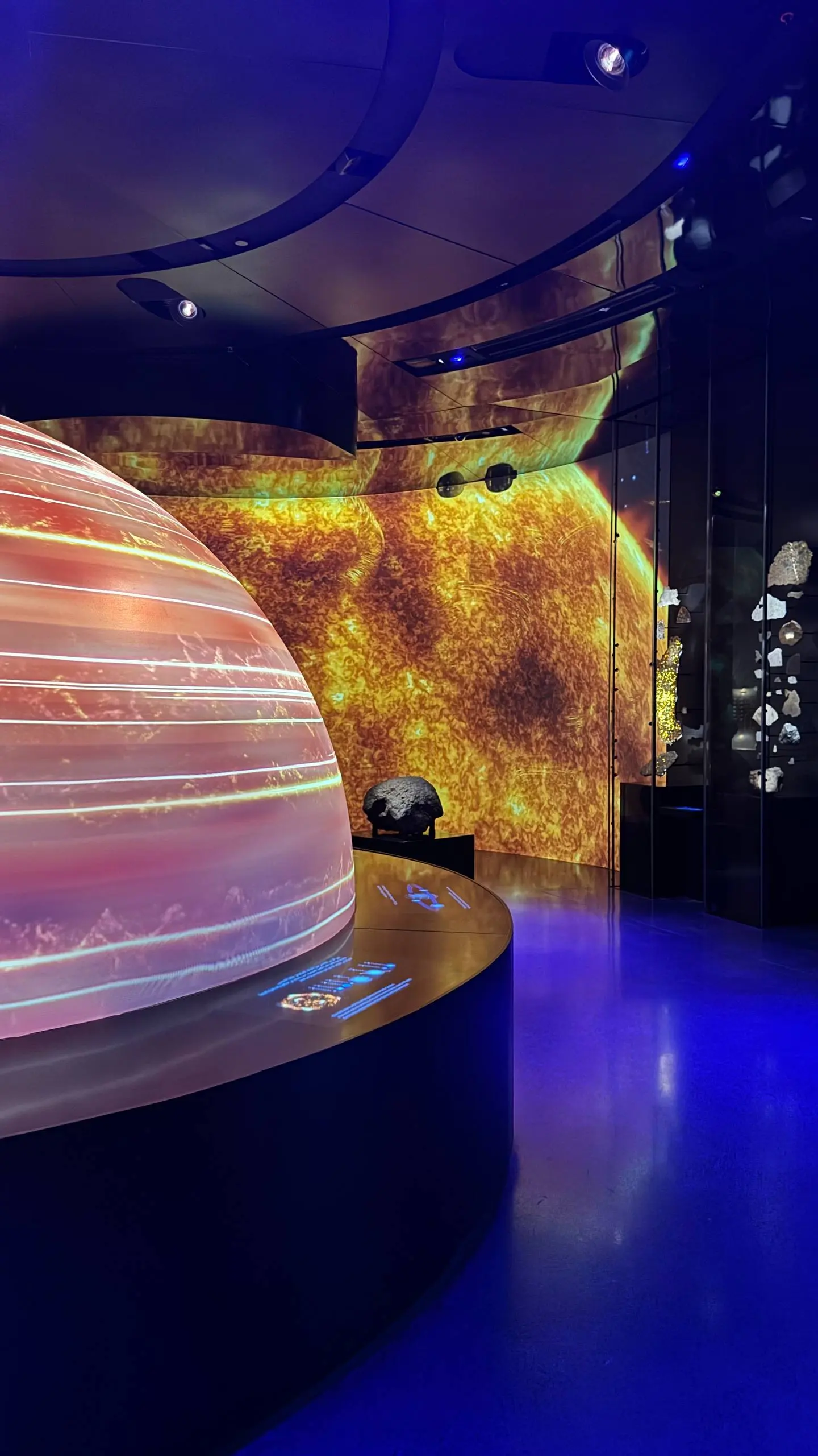 Следующий из новенького – Natural History Museum | Сетка — социальная сеть от hh.ru