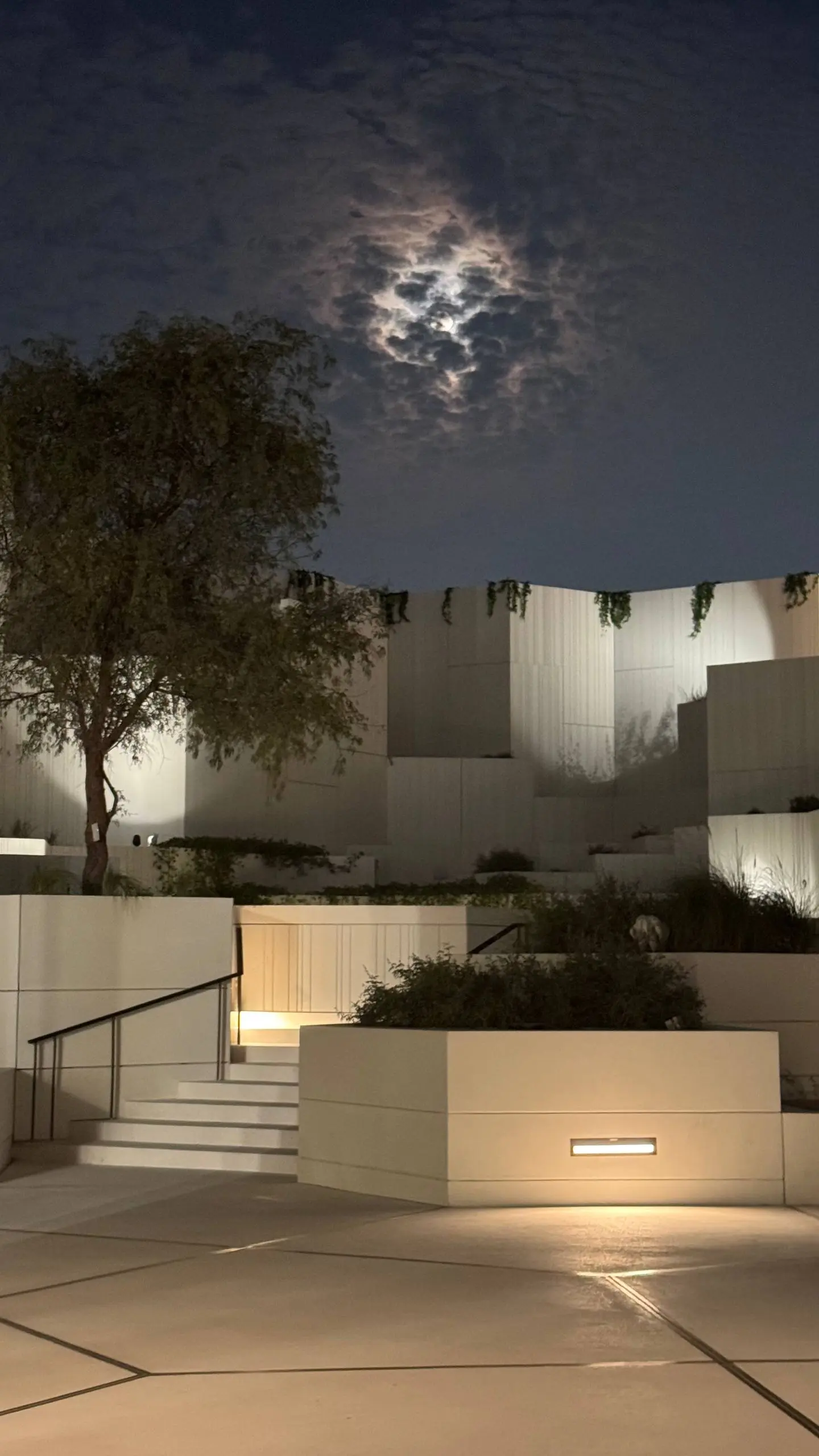 Следующий из новенького – Natural History Museum | Сетка — социальная сеть от hh.ru