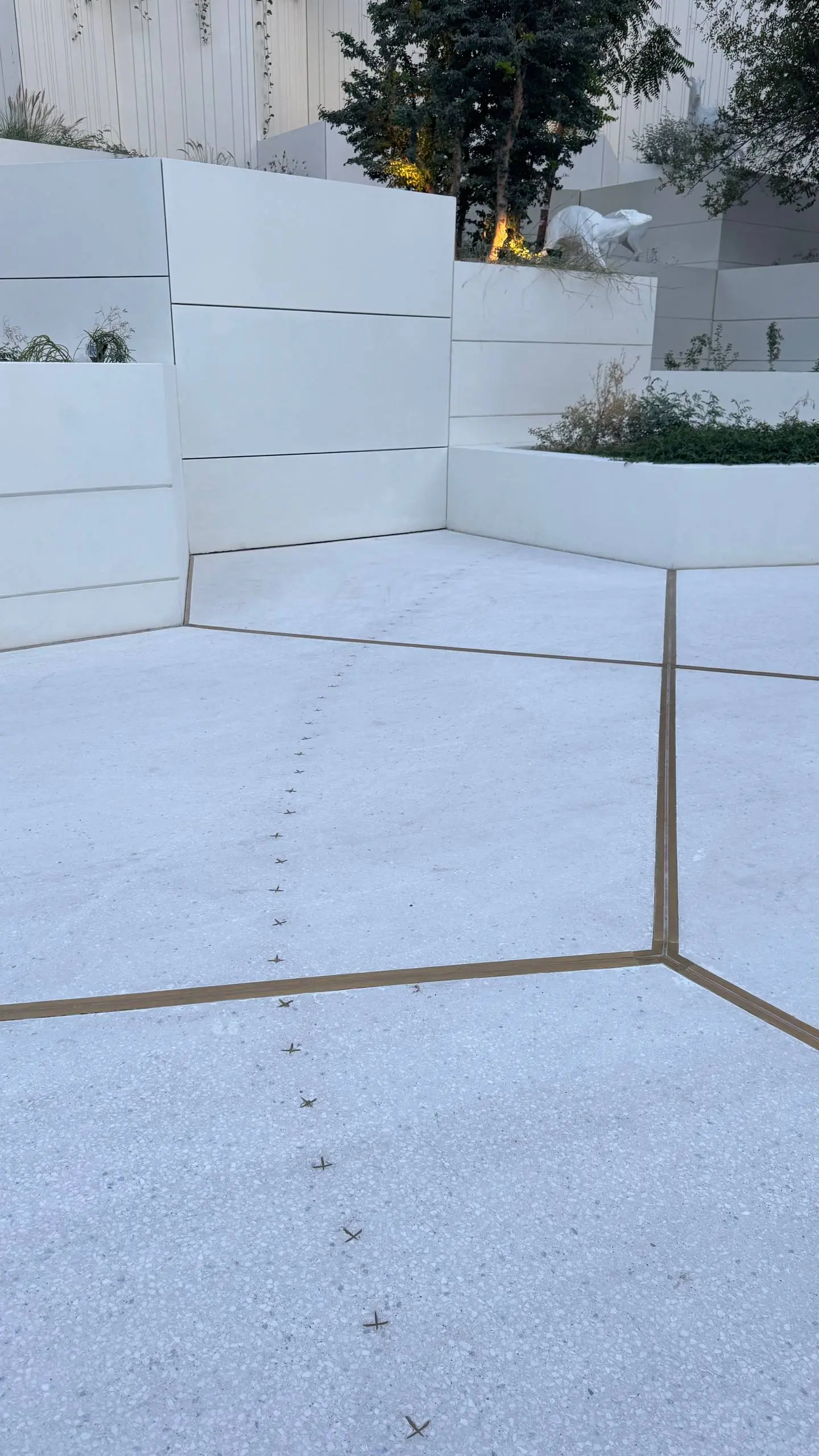 Следующий из новенького – Natural History Museum | Сетка — социальная сеть от hh.ru