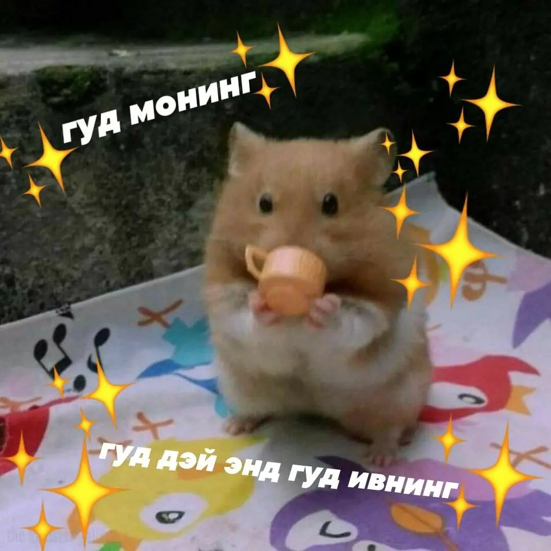 Хорошей рабочей недели 🫶🏻
П.С. до Нового года осталось 24 дня!
#работа #вакансии #hr #GdeRabota | Сетка — социальная сеть от hh.ru
