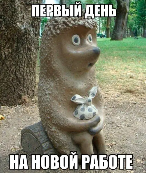 Чек-лист для первого рабочего дня: Как начать новую работу | Сетка — социальная сеть от hh.ru