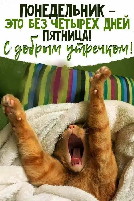 ПОНЕДЕЛЬНИК
Только с позитивом в новую неделю 💃💃💃
Подсказка Вселенной в сторис | Сетка — социальная сеть от hh.ru