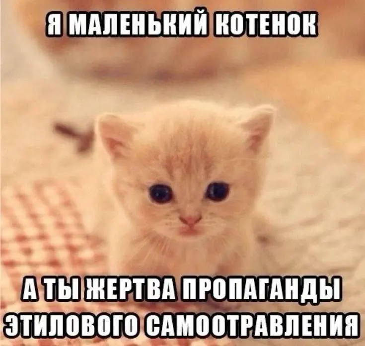 1 год без алкоголя
Не то чтобы я был любителем выпить. С алкоголем у меня странные отношения | Сетка — социальная сеть от hh.ru