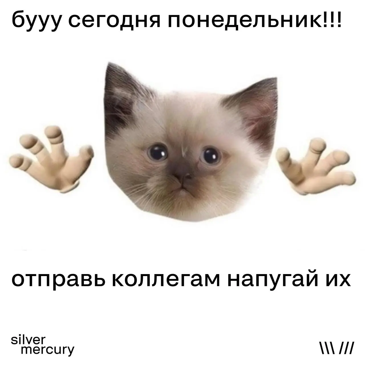 С понедельником, коллеги | Сетка — социальная сеть от hh.ru