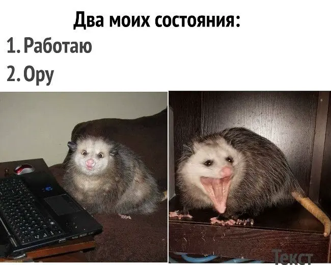 😶‍🌫️6 ловушек, из-за которых в сегодня падает самооценка | Сетка — социальная сеть от hh.ru