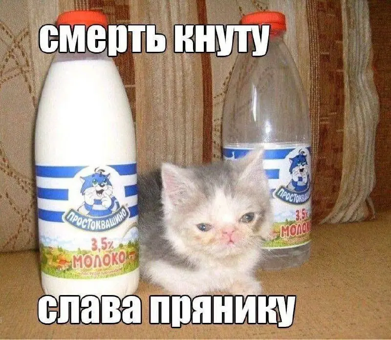 Долго искал вам какой-нибудь налоговый прикол, чтобы разбавить духоту в канале и, кажется, нашел | Сетка — социальная сеть от hh.ru