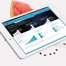 Network member avatar