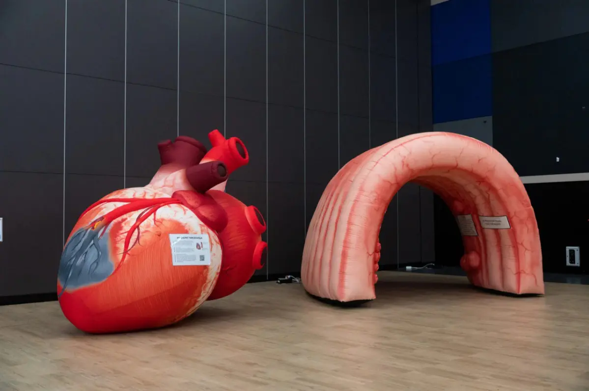 Начало карьерной лестницы...🤕 | Сетка — социальная сеть от hh.ru