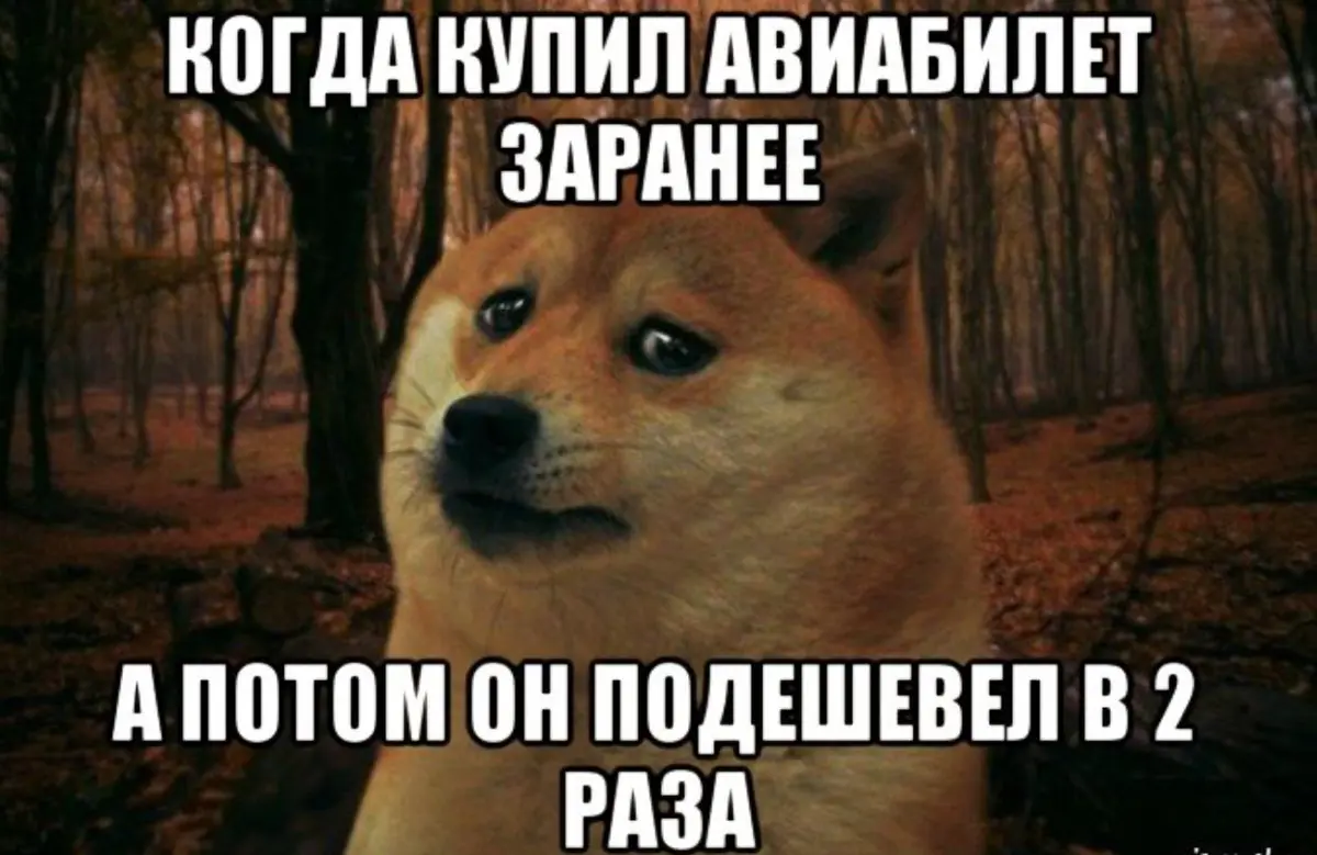Новости из будущего | Сетка — социальная сеть от hh.ru