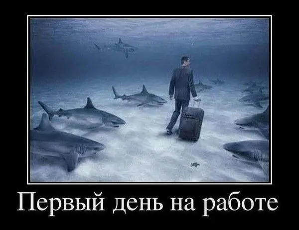 «Текучесть персонала? Да ну?»
Любопытный факт, друзья!
Исследования текучести кадров показывают, что многим увольняющихся мысль об уходе пришла уже в первый день работы на новом месте: «В какую шарагу... | Сетка — социальная сеть от hh.ru