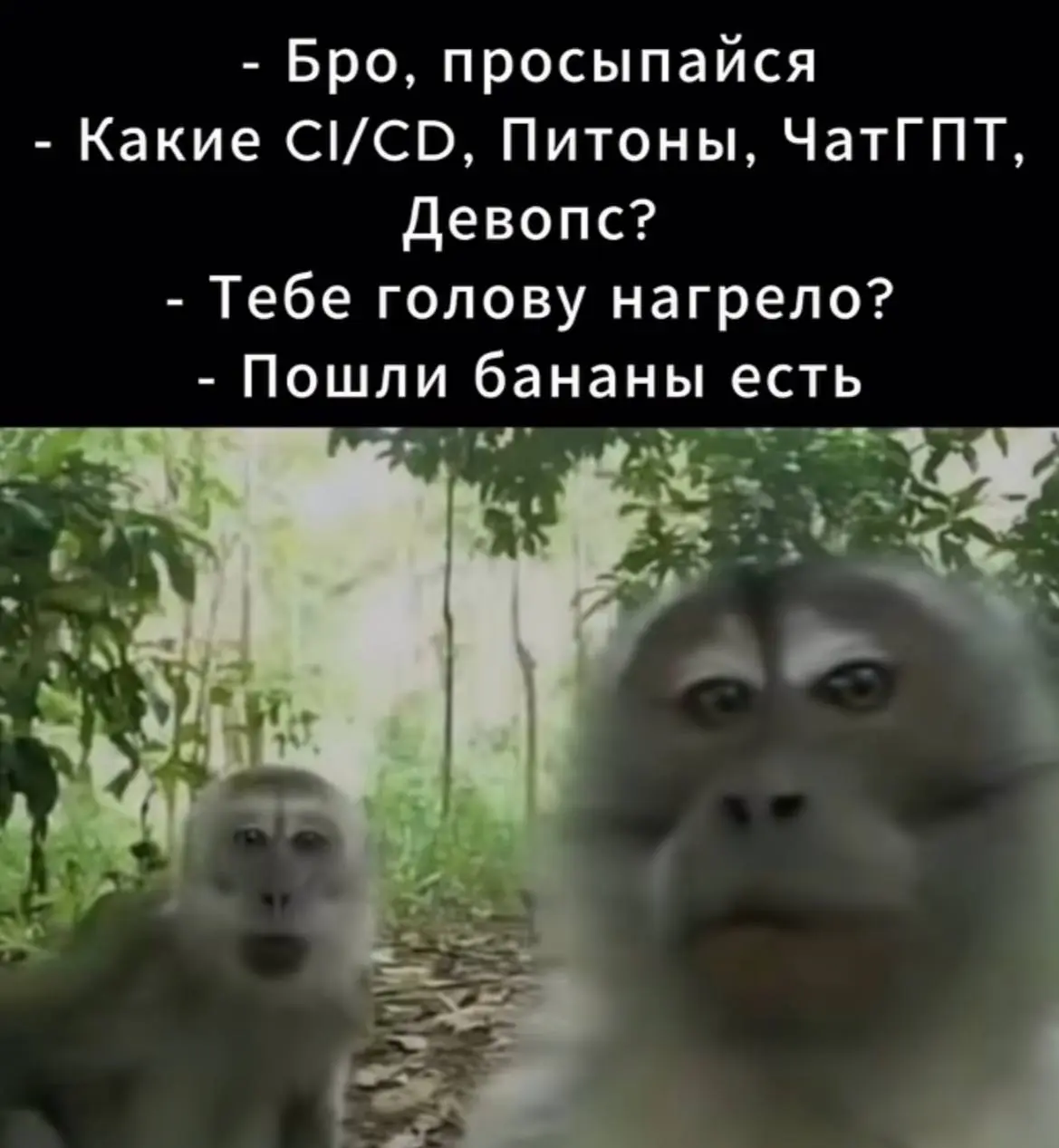 День 99
🔤 занималась с психологом
🔤 обнималась с Китом
🔤 чувствовала, что организм просит не усердствовать, поэтому не перенапрягалась | Сетка — социальная сеть от hh.ru