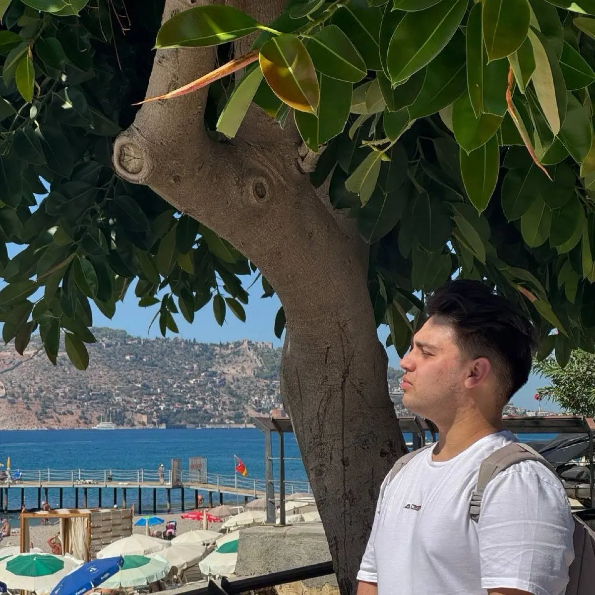 Network member avatar