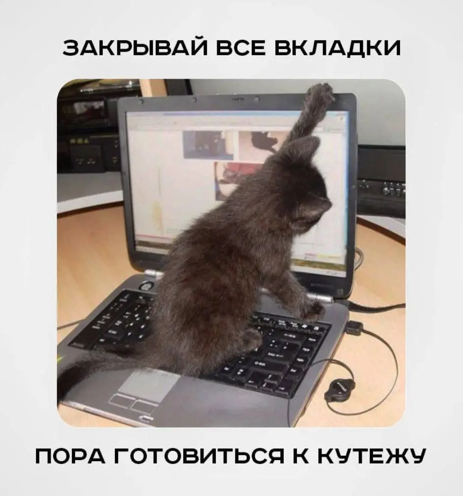Закрыть навсегда и не вспоминать никогда 😂
#Юмор@poldner #Коты@poldner | Сетка — социальная сеть от hh.ru