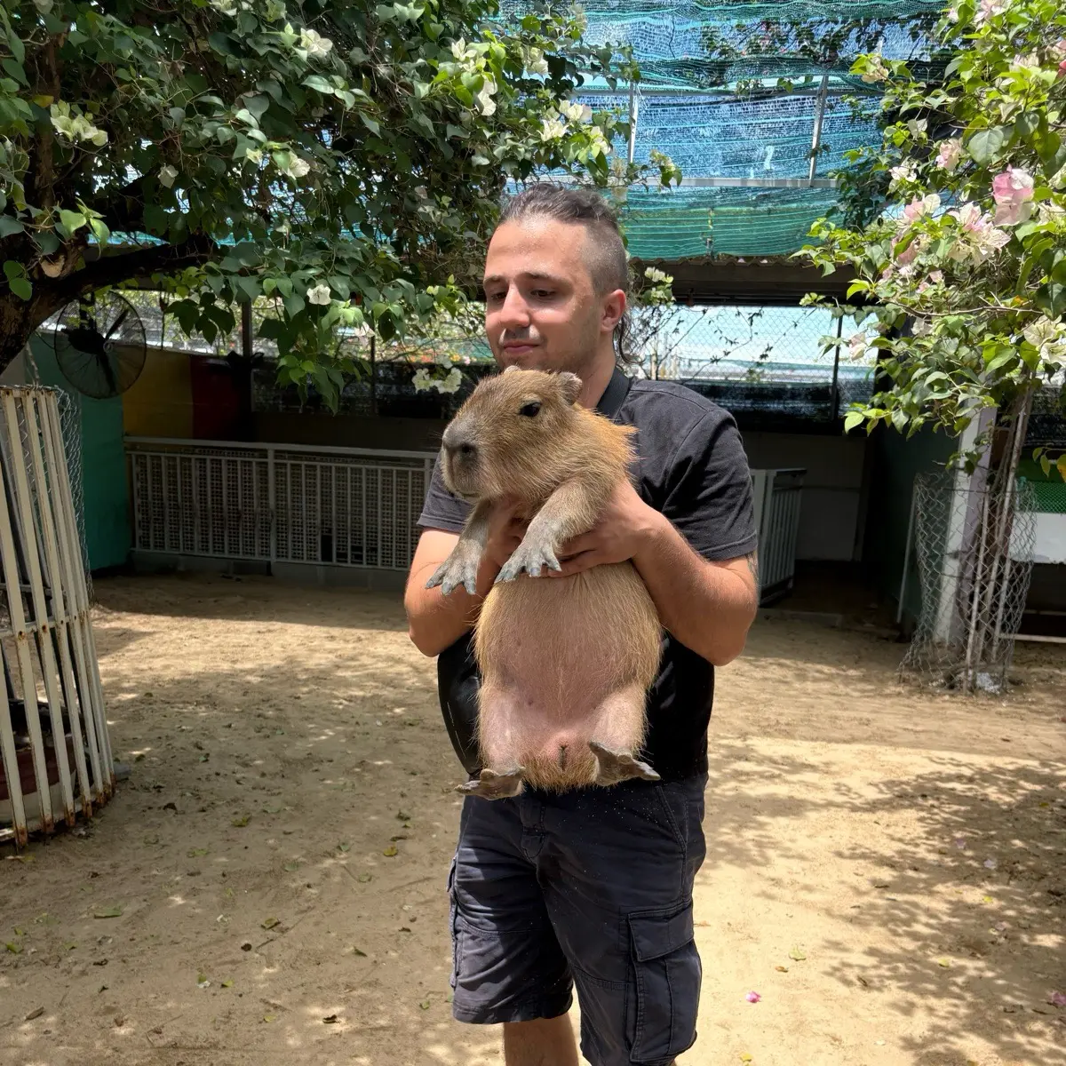 Edu Iaremchuk | Сетка — социальная сеть от hh.ru